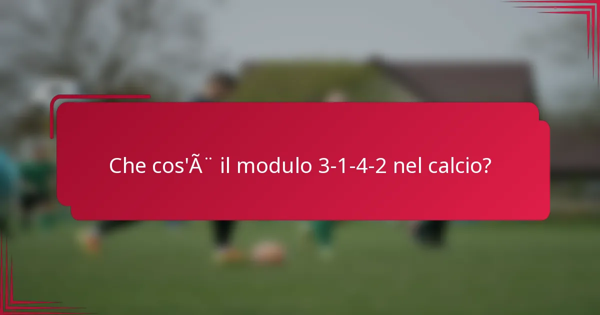 Che cos'è il modulo 3-1-4-2 nel calcio?