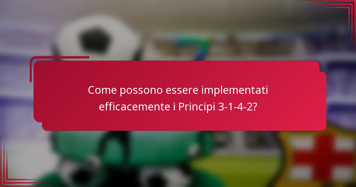 Come possono essere implementati efficacemente i Principi 3-1-4-2?