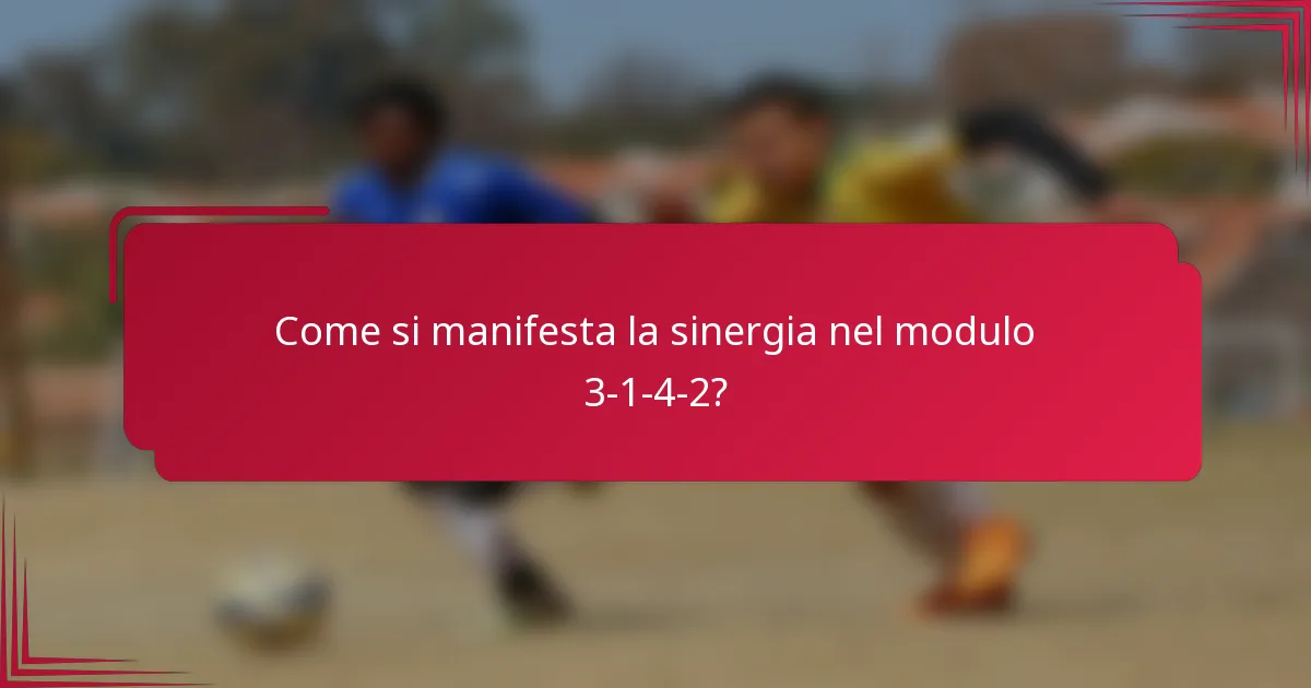 Come si manifesta la sinergia nel modulo 3-1-4-2?