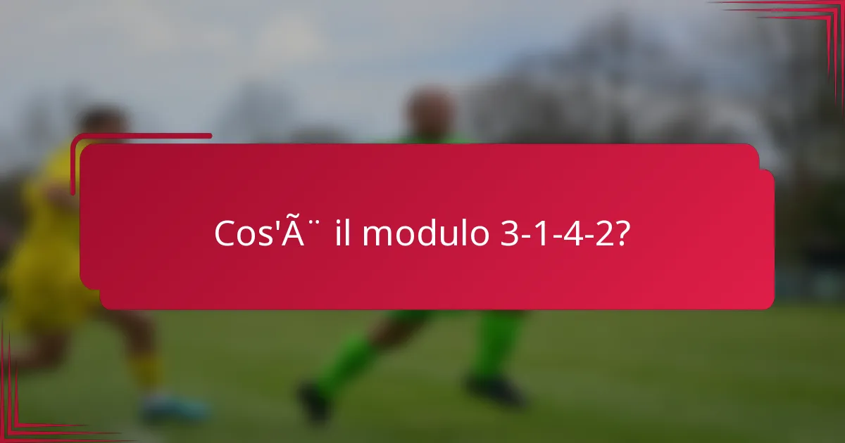 Cos'è il modulo 3-1-4-2?
