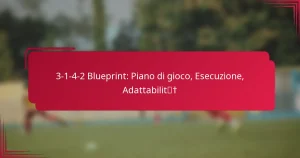 Read more about the article 3-1-4-2 Blueprint: Piano di gioco, Esecuzione, Adattabilità