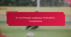Read more about the article 3-1-4-2 Principi: Larghezza, Profondità, Compattezza