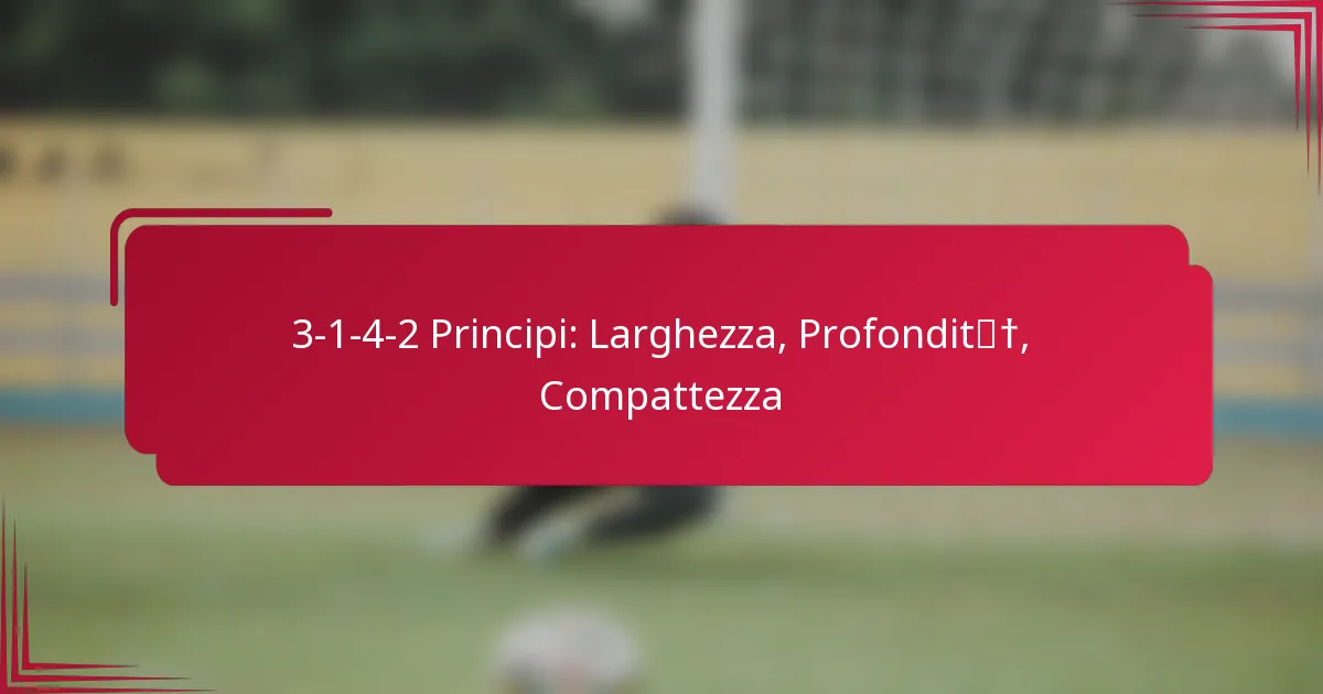 You are currently viewing 3-1-4-2 Principi: Larghezza, Profondità, Compattezza