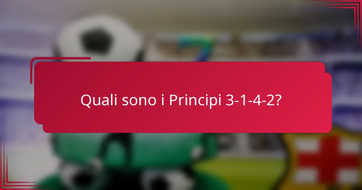 Quali sono i Principi 3-1-4-2?
